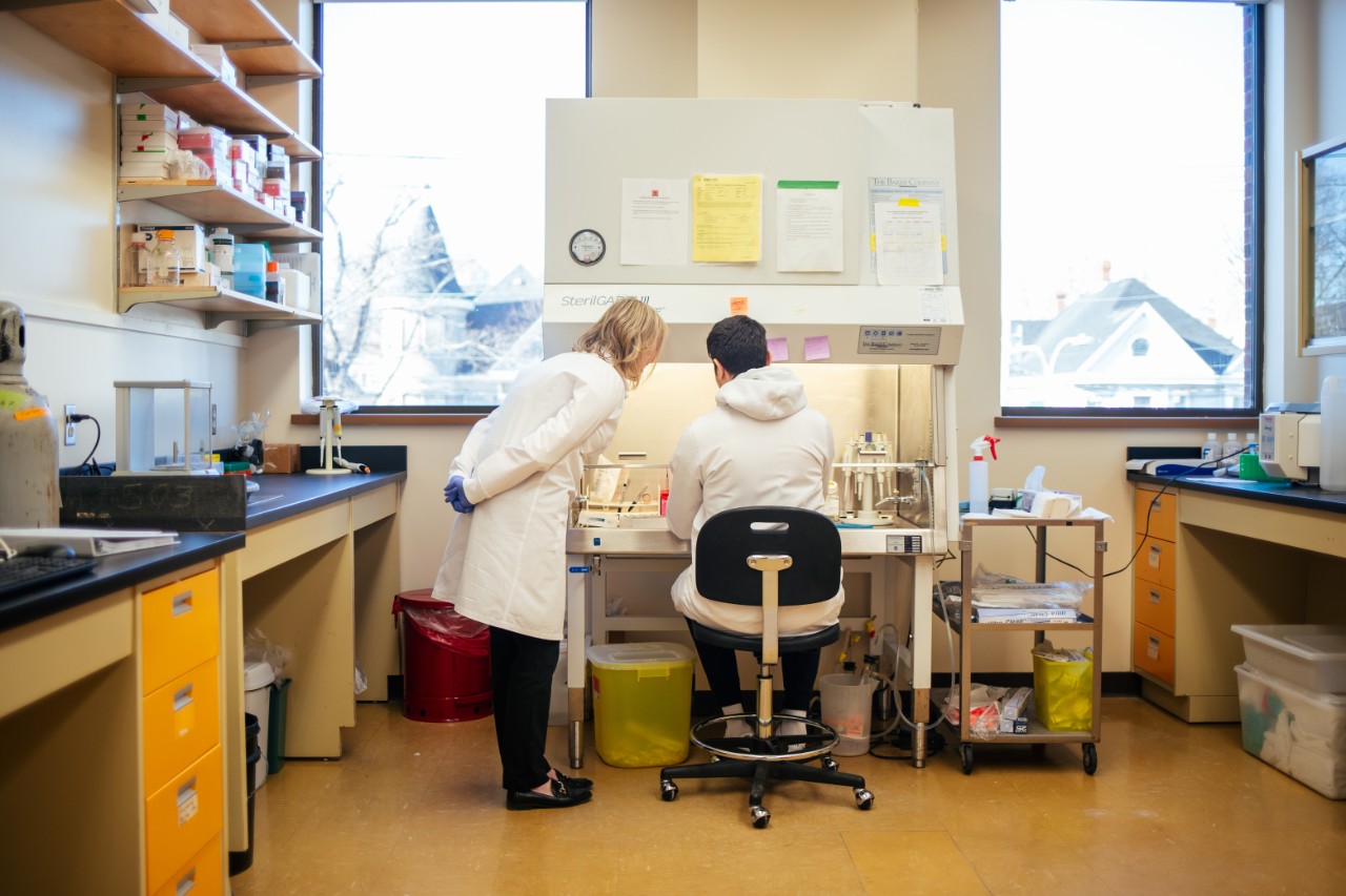 two researchers working in the lab.