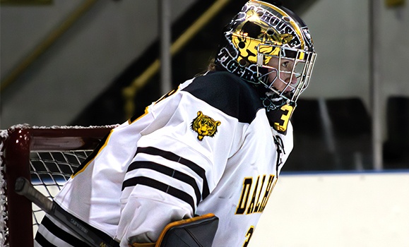 A goalie watches from her net.