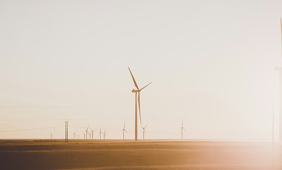 A dozen wind turbines in a field. 