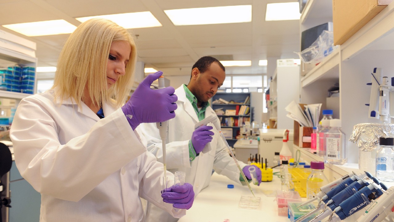 Two people in lab coats using pipettes in a scientific laboratory