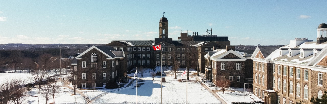 Studley quad in winter