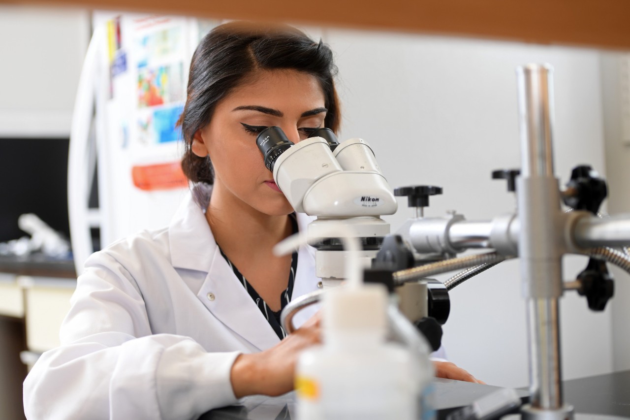 Biophysics researcher looking into scope in lab at Dalhousie.