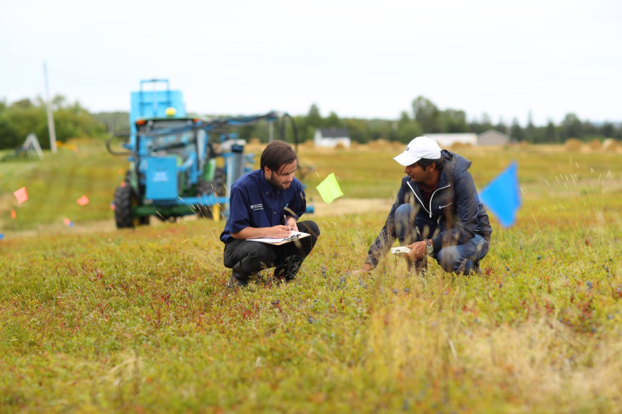 Two Dalhousie researchers crouching in a field, examining soil.