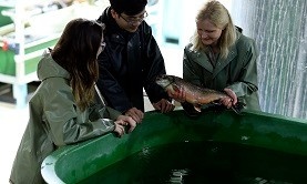 resized for homepage Aquaculture-July29