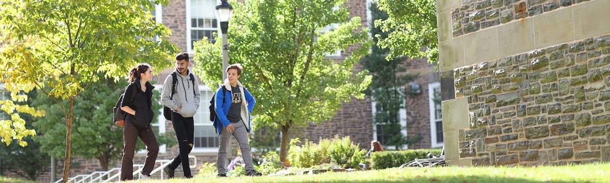 Three students walk across Studley Quad. Three students walk across the Studley Quad with the Henry Hicks Building in the background.