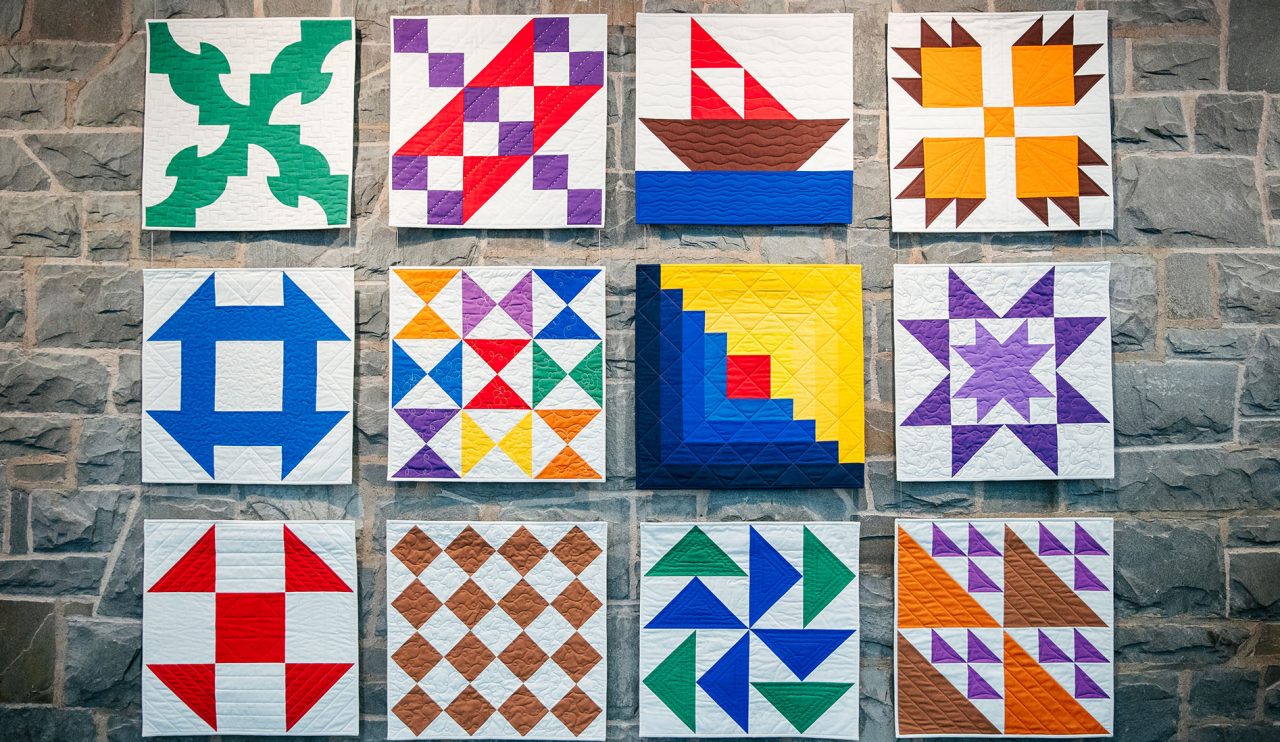 ANSS quilt ANSS quilt by artist Anja Clyke