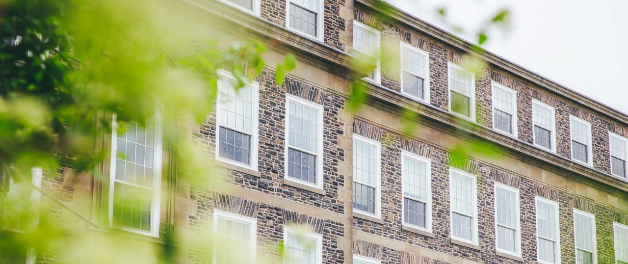 Blurred green leaves in the foreground with the stone exterior of Dal's Henry Hicks building focused in the background.