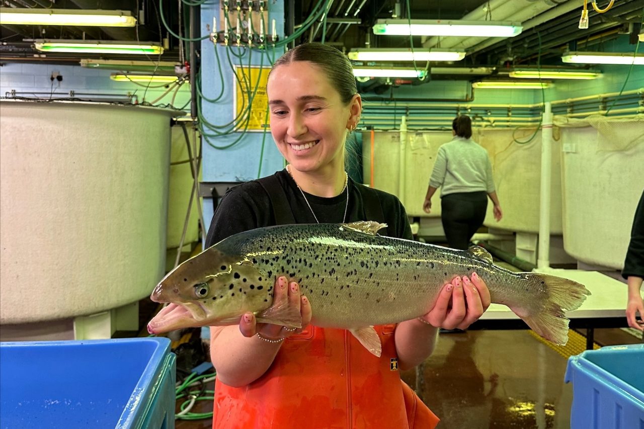 Sernowsky wearing orange hip wader overalls and smiling while holding a medium-sized fish inside the Aquatron lab.