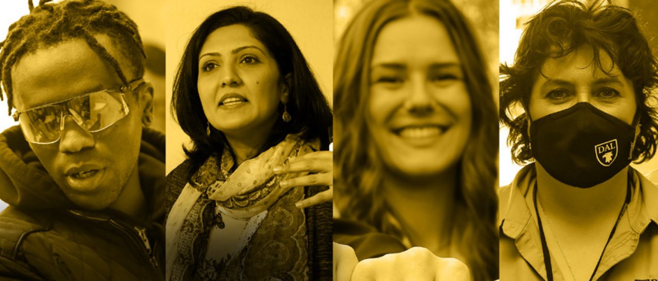 Collage with gold overlay showing four portraits of people at Dalhousie.