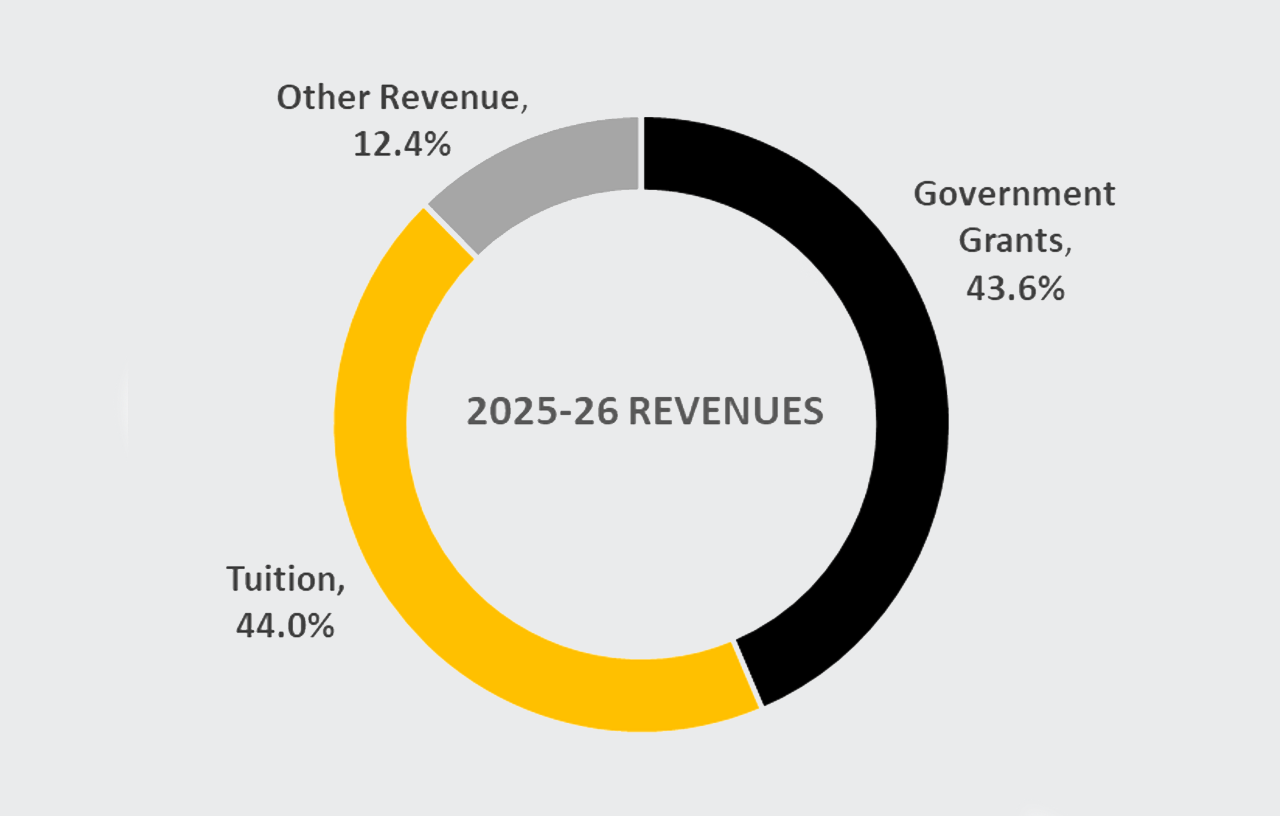 A circular graph showing revenues.