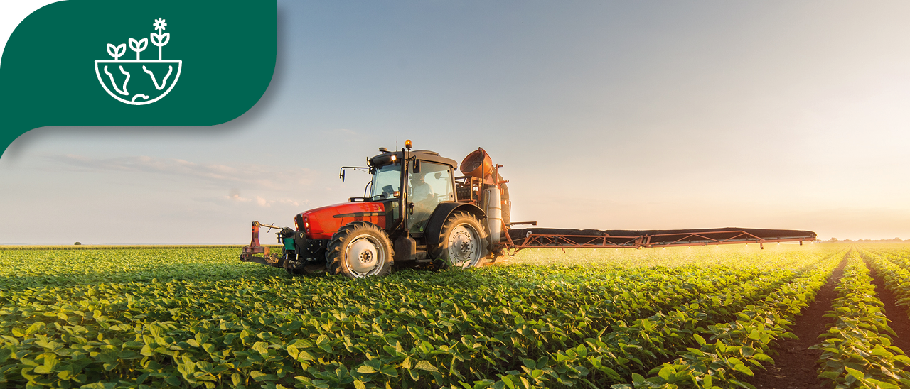 Tractor working on a vast farm field with rows of green crops at sunset.